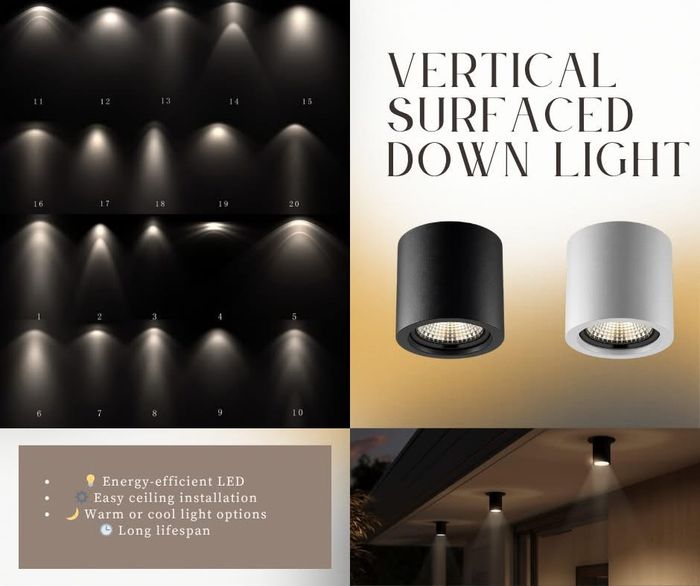 Vertical Surface Downlight by Lightflow